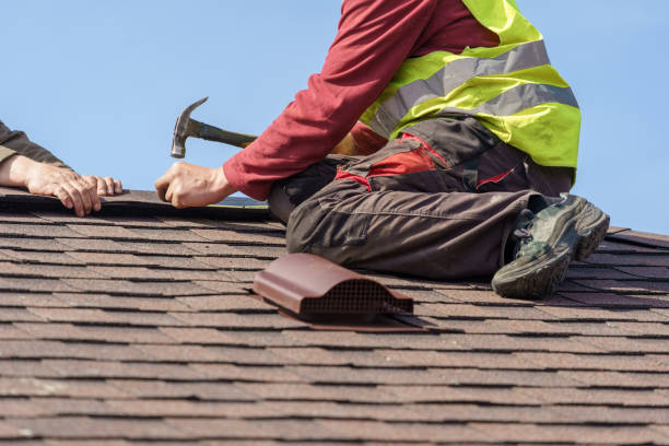 Best Roof Leak Repair  in Kingsport, TN
