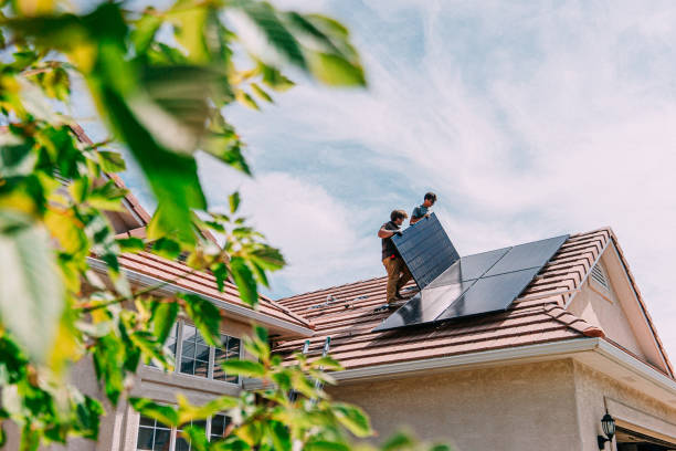 Best Roof Gutter Cleaning  in Kingsport, TN