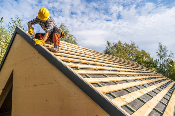 Best Emergency Roof Repair  in Kingsport, TN